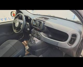 FIAT Panda usata 20