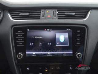SKODA Octavia usata 14