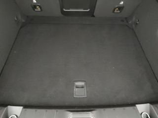 ALFA ROMEO Tonale usata, con Controllo vocale