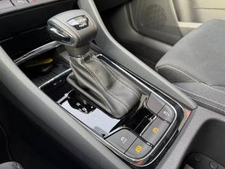 SKODA Karoq usata, con Cruise Control