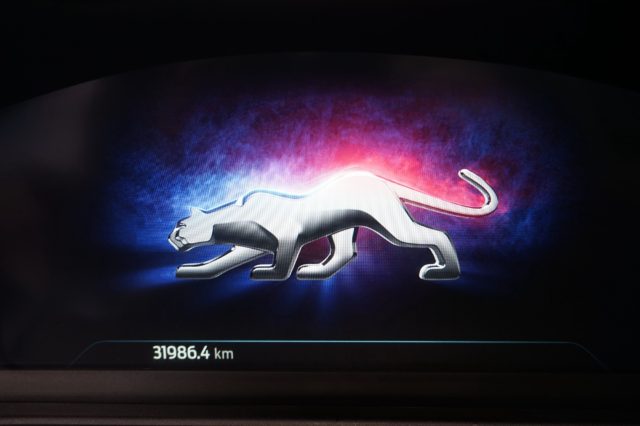 FORD Puma usata, con Controllo trazione