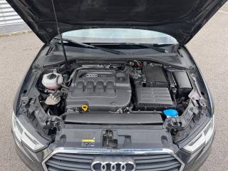 AUDI A3 usata, con Bracciolo
