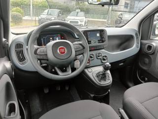 FIAT Panda usata, con Autoradio