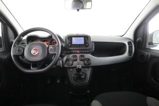 FIAT Panda usata 4