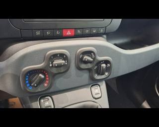 FIAT New Panda usata, con Sedile posteriore sdoppiato