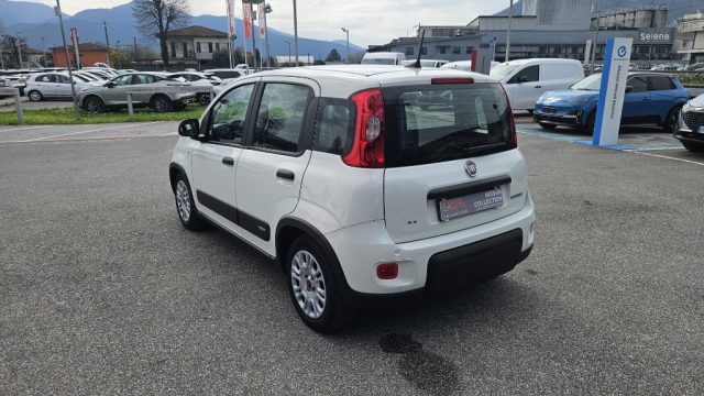 FIAT Panda usata, con Chiusura centralizzata