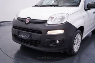 FIAT New Panda usata 14