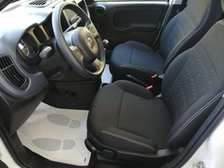 FIAT Panda usata, con Chiusura centralizzata