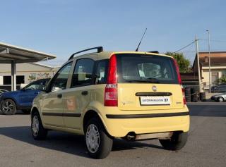 FIAT Panda usata, con Immobilizzatore elettronico
