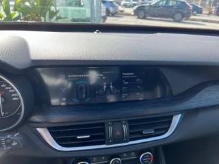 ALFA ROMEO Stelvio usata, con Cronologia tagliandi