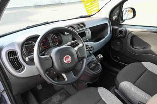 FIAT Panda usata, con Immobilizzatore elettronico