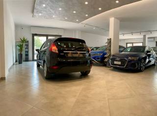 FORD Fiesta usata, con Antifurto