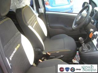 FIAT Panda Cross usata, con Luci diurne