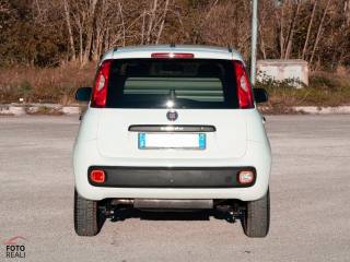 FIAT Panda usata 17