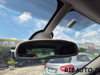 RENAULT Scenic usata, con Volante in pelle