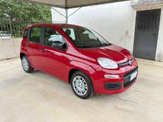 FIAT Panda usata, con Airbag laterali