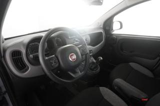 FIAT Panda usata 8