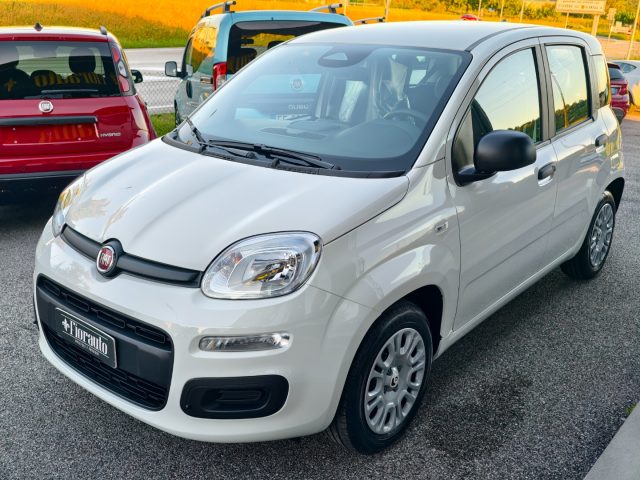 FIAT Panda usata, con Antifurto