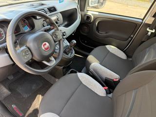 FIAT Panda usata, con Cronologia tagliandi
