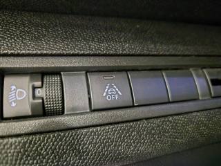 PEUGEOT 3008 usata, con Climatizzatore automatico, 2 zone