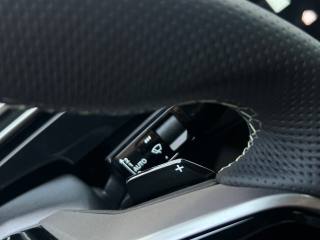 PEUGEOT 3008 usata, con Vetri oscurati