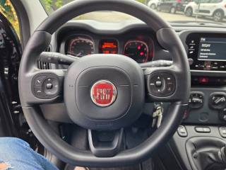 FIAT Panda usata, con Climatizzatore