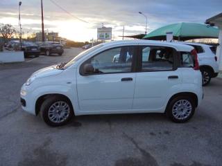 FIAT Panda usata, con Climatizzatore
