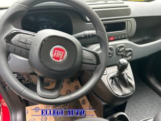 FIAT Panda usata, con Sensori di parcheggio posteriori
