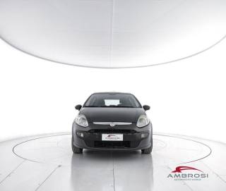 FIAT Punto usata 4