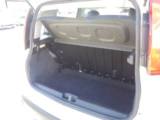 FIAT Panda usata 11