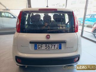 FIAT Panda usata, con Antifurto