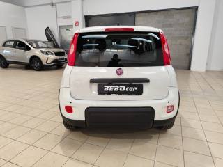 FIAT Panda usata, con Controllo trazione