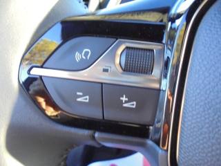 PEUGEOT 2008 usata 39