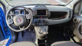 FIAT New Panda usata, con Antifurto