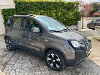 FIAT Panda usata 2