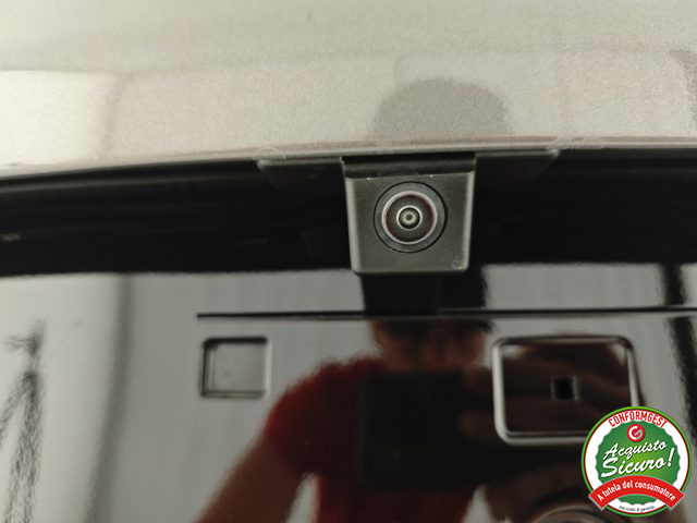 ALFA ROMEO Tonale usata, con Climatizzatore