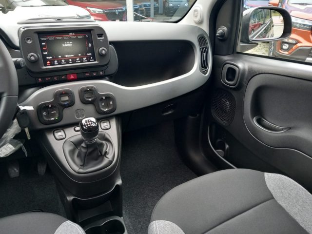 FIAT Panda usata 21
