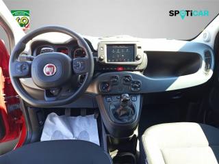 FIAT Panda Cross usata, con Fendinebbia