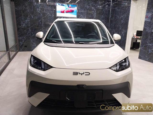 BYD Dolphin usata, con ABS