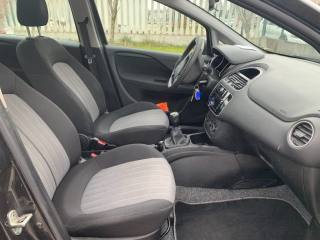 FIAT Punto usata, con Fendinebbia