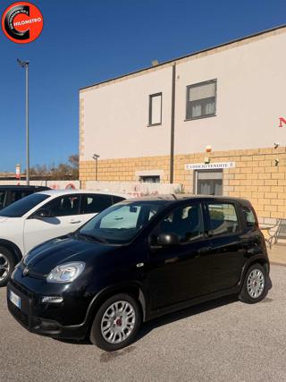 FIAT Panda usata, con Airbag Passeggero