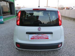 FIAT Panda usata, con Controllo trazione