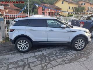 LAND ROVER Range Rover Evoque usata 15