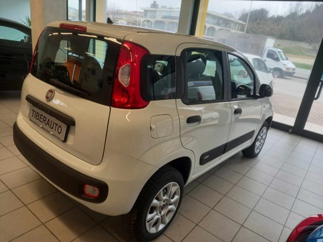 FIAT Panda usata, con Airbag Passeggero
