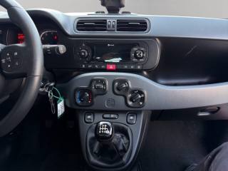 FIAT Panda usata 12