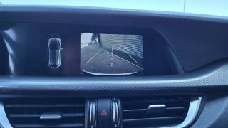 ALFA ROMEO Stelvio usata, con ESP