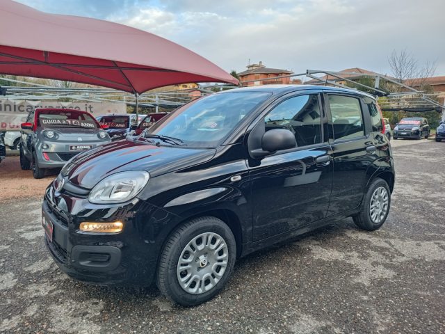 FIAT Panda usata, con Airbag Passeggero