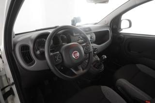 FIAT Panda usata 1