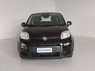 FIAT Panda usata, con Airbag Passeggero