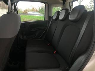 FIAT Panda usata, con Airbag testa